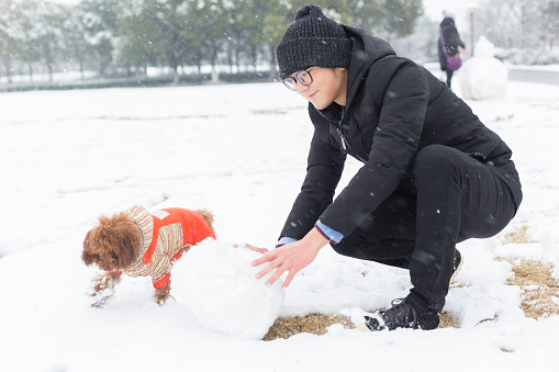 young cheerful man rolling snowballs with pet dog on snow,China.