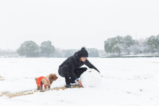 young cheerful man rolling snowballs with pet dog on snow,China.