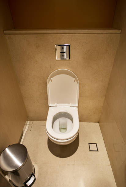 istock Automatic induction toilet flush toilet 915927702