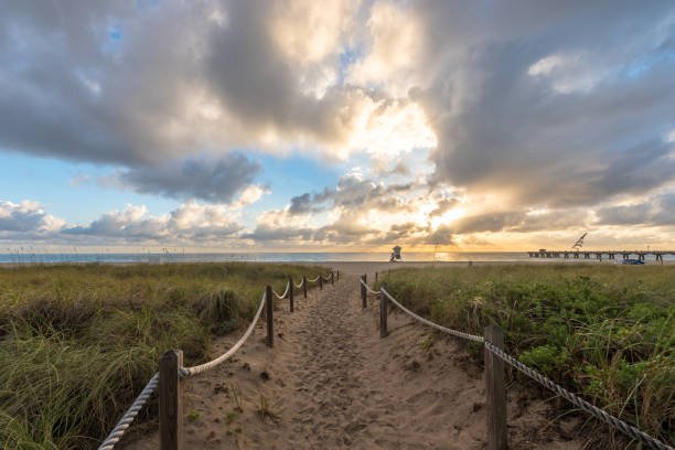 istock Walkway to the beach in South Florida 915937148