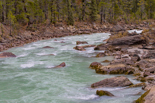 The Elk River, near Fernie British Columbia. Part of the Yoho National Park