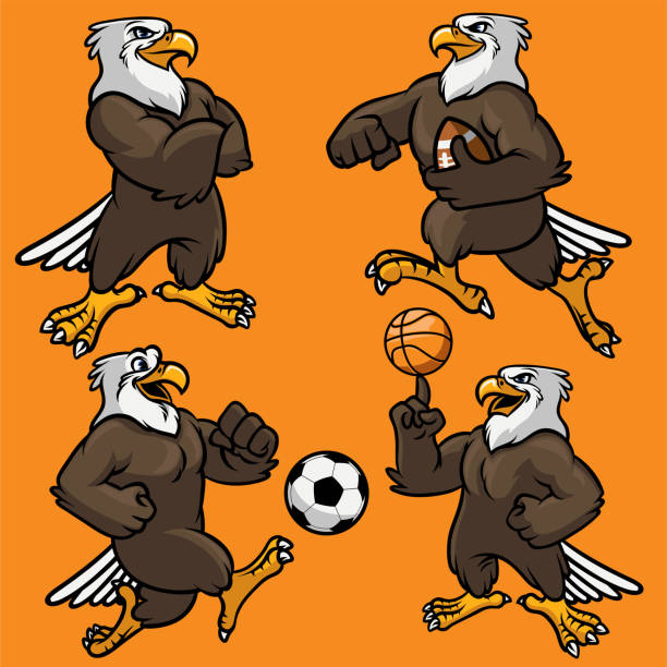 illustrazioni stock, clip art, cartoni animati e icone di tendenza di set di mascotte eagle sport - stage costume immagine
