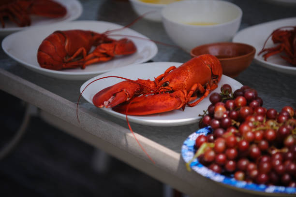 istock Lobster at PEI 915950050