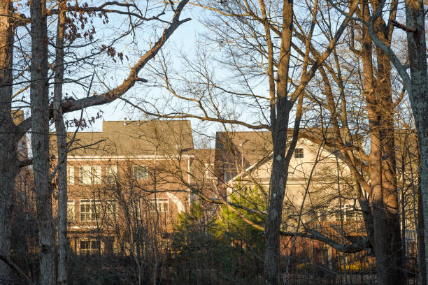 istock Typical southern suburban houses behind trees 915952352