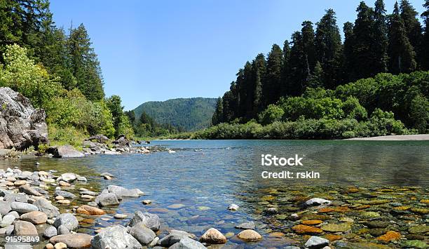 Rzeki Smith Jed - zdjęcia stockowe i więcej obrazów Park Narodowy Redwood - Park Narodowy Redwood, Redwood, Rzeka