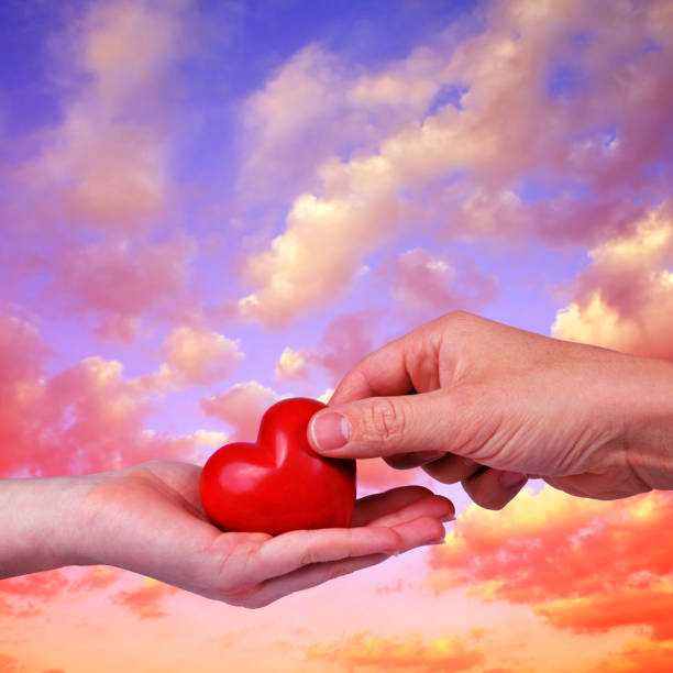 istock Red heart in woman and man hands. 915966948