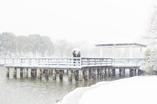 affectionate couple holding umbrella standing at a snow-covered wooden bridge,China.