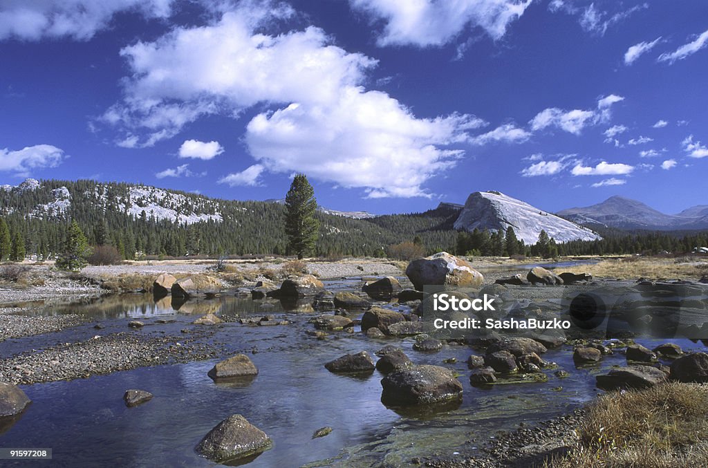 Autunno di Prati di Tuolumne in Yosemite - Foto stock royalty-free di Ambientazione esterna