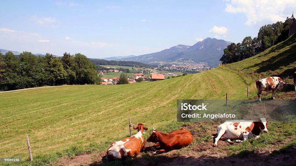 Gruyere  Color Image Stock Photo