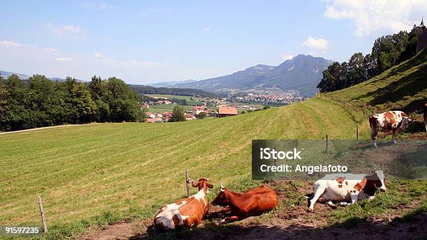 Gruyere - Fotografias de stock e mais imagens de Cantão de Friburgo - Cantão de Friburgo, Cultura Suíça, Europa - Locais geográficos