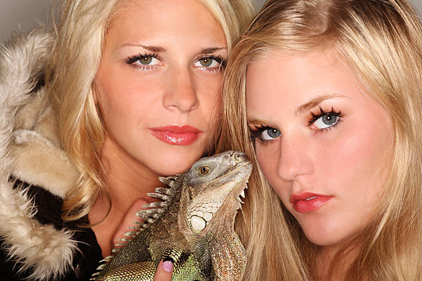 istock Two Fashion Modles and One Pet Iguana 91597275