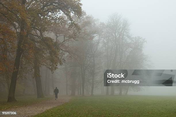 Autunno Jogging - Fotografie stock e altre immagini di Nebbia - Nebbia, Parco pubblico, Autunno