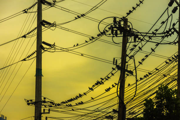 istock Electricity station. Close up high voltage power lines at sunset. 915978770