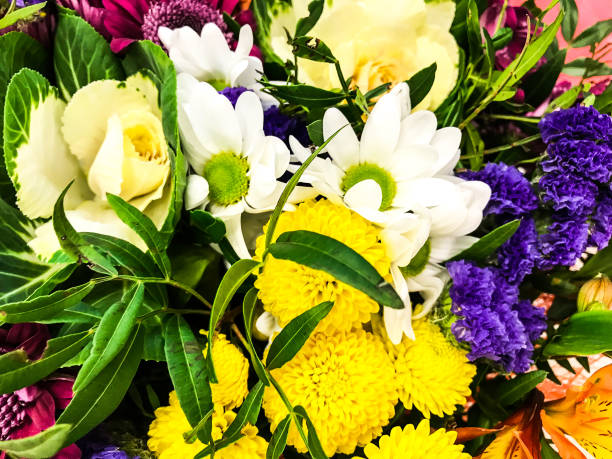 istock Bright background, texture of different fresh flowers 915981628