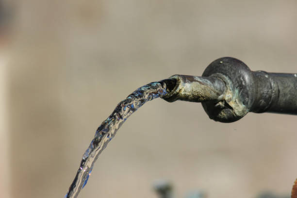 istock historical fountain details ornaments and objects 915984628