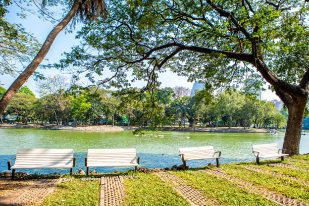 istock park bench under big tree overlooking the water or lake 915988548