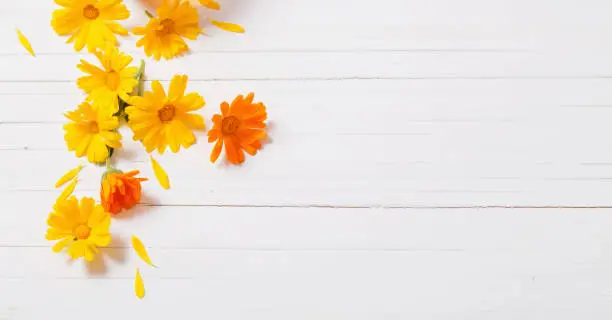 Photo of Calendula (Marigold) herbal tea  on white wooden table