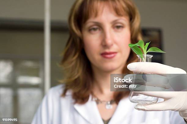 Wissenschaftler Mit Plantsee Mehr Biotechnologie Thema Stockfoto und mehr Bilder von Analysieren