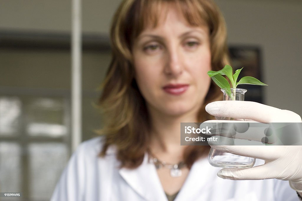 Scienziato con plant.see più biotecnologia tema. - Foto stock royalty-free di Analizzare