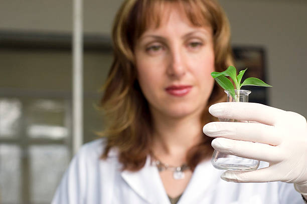 istock scientist with plant.see more biotechnology theme. 91599495