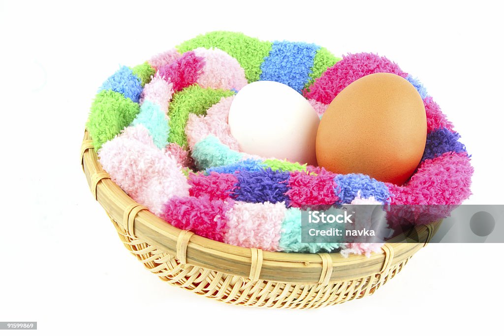 fluffy clutch for two eggs  Animal Stock Photo