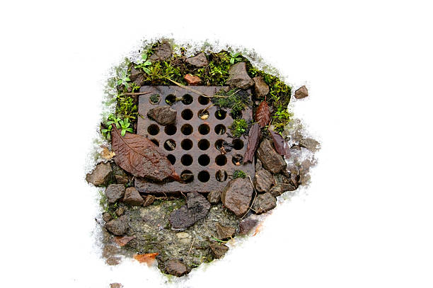 istock Moss, rocks and drain surrounded by snow 91599893