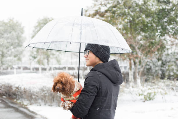 young man hugging his dog walking in park,China.