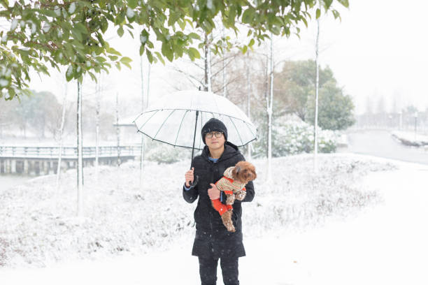 istock young man hugging his dog walking in park 915999072