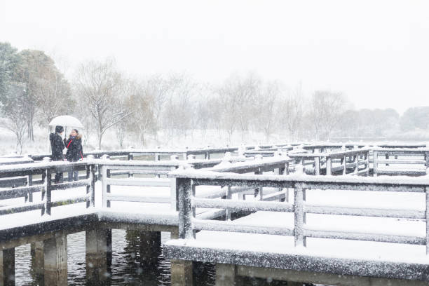 affectionate couple holding umbrella standing at a snow-covered wooden bridge,China.