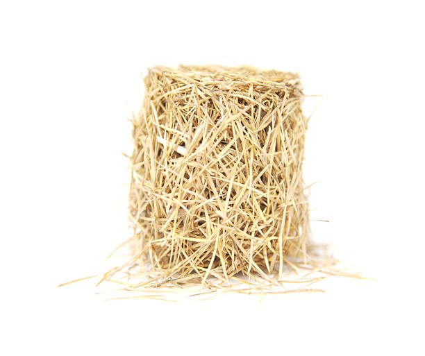istock Pile of larch needles 91600032