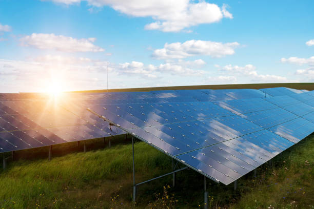 istock Solar panels, photovoltaics - alternative electricity source 916000350
