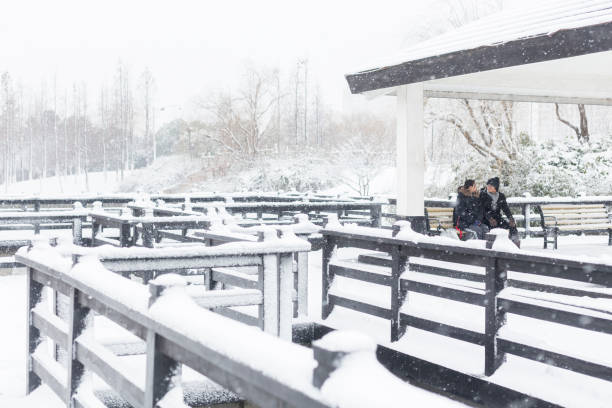 Winter and snow themes.