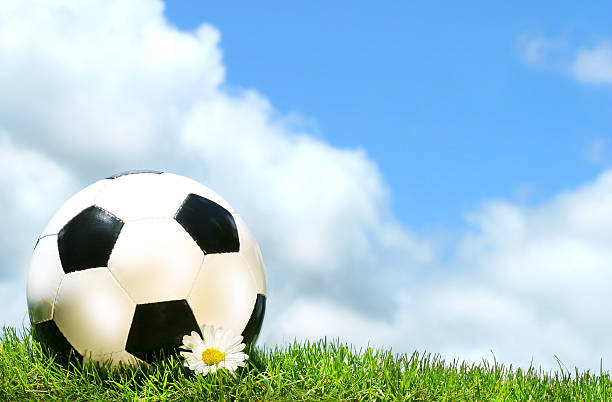 istock Soccer ball  with daisy against a blue sky 91600733