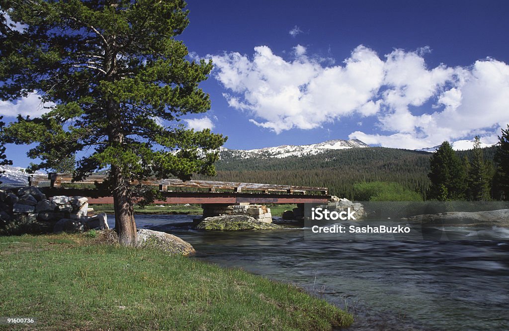 Puente sobre el río en Yosemite Tuolumne - Foto de stock de Aire libre libre de derechos