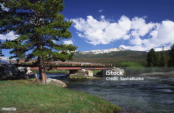 Puente Sobre El Río En Yosemite Tuolumne Foto de stock y más banco de imágenes de Aire libre - Aire libre, Aislado, Belleza de la naturaleza