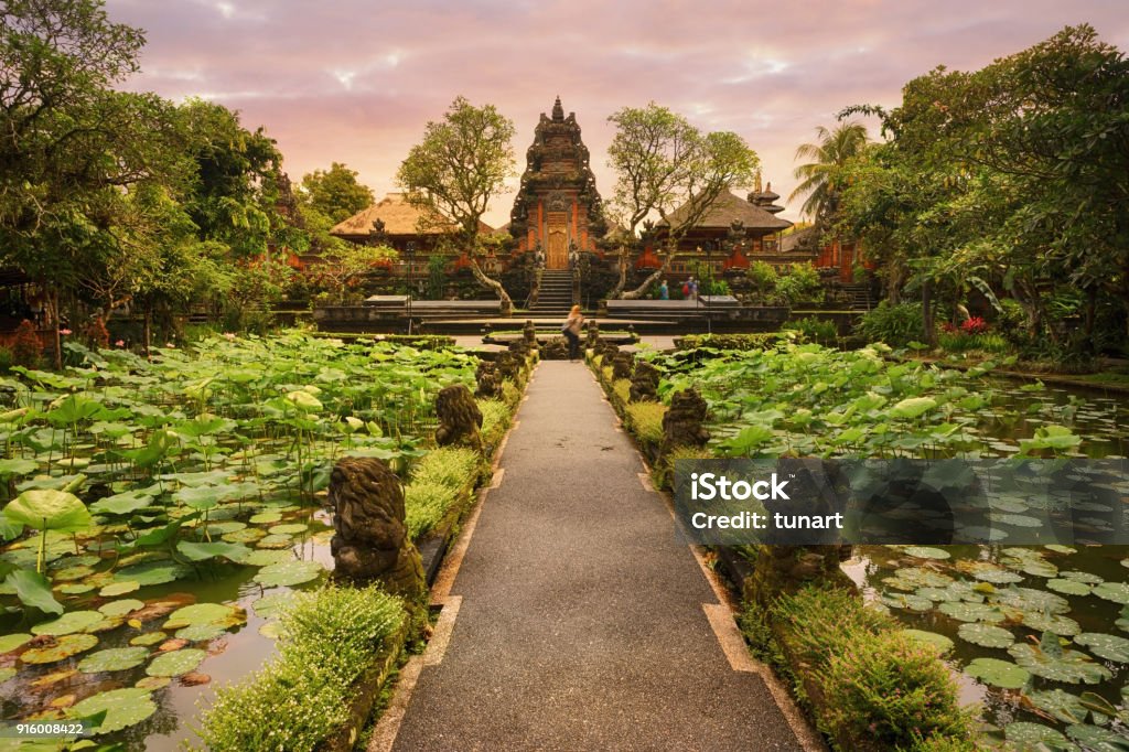 Saraswati Temple, Ubud, Bali A pathway over a scenic lotus pond leads to this Hindu temple with ornate architectural details. Bali Stock Photo