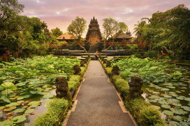 Saraswati Temple, Ubud, Bali A pathway over a scenic lotus pond leads to this Hindu temple with ornate architectural details. ubud photos stock pictures, royalty-free photos & images