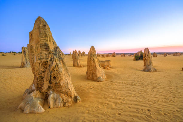 blue twilight pinnacle desert - nambung national park imagens e fotografias de stock