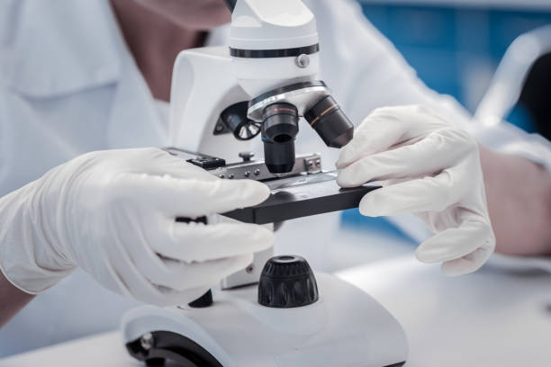 istock Close up of researcher placing sample under microscope 916011234