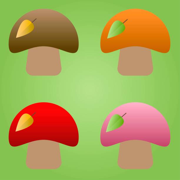 La Fructification Animation 60+ Structure De Fructification Illustrations Stock Illustrations ...