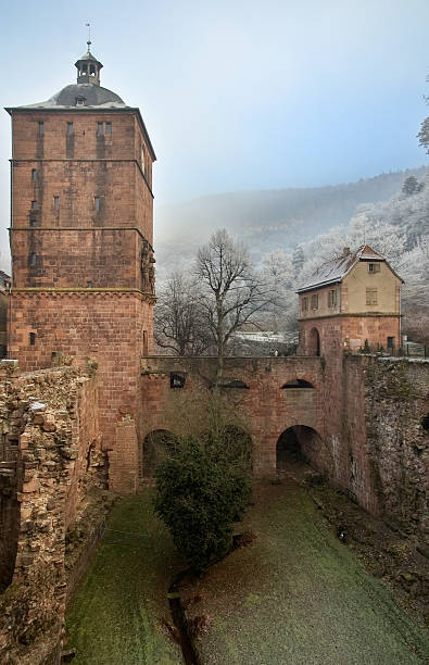 istock The castle of Heidelberg 91601278