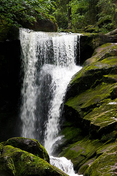 cachoeira da floresta negra - black forest waterfall triberg landscape - fotografias e filmes do acervo