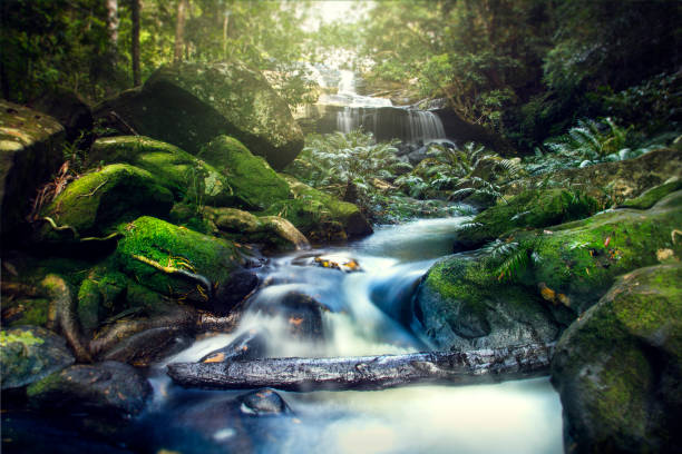 Amazing waterfall with beautiful scenery in the forest stock photo