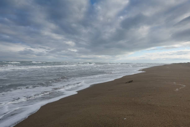 istock Sea, beach and herbs in winter 916025584