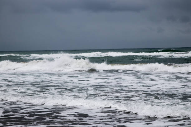 istock Sea, beach and herbs in winter 916025768