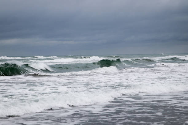 istock Sea, beach and herbs in winter 916025776