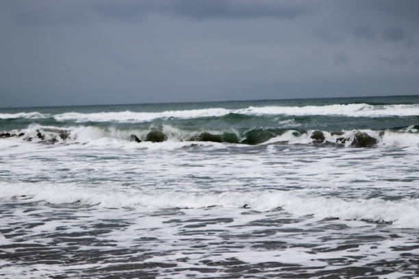istock Sea, beach and herbs in winter 916025780