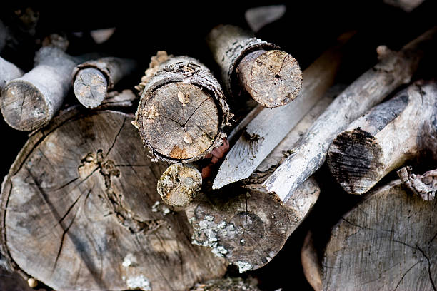 istock Woodpile Still Life 91602998
