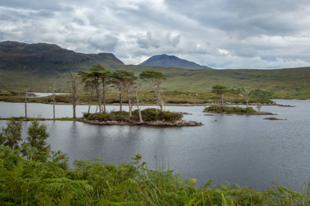 istock Loch Assynt, Scotland 916031902