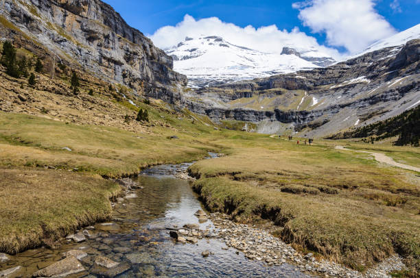 istock Large meadow in Ordesa Valley in the Aragonese Pyrenees, Spain 916033008